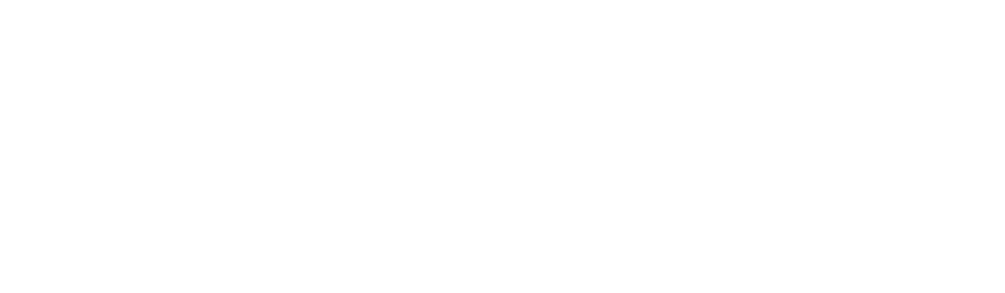 logo bluepuma werbeagentur